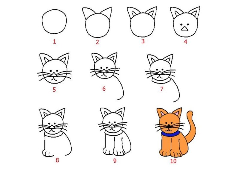 Котик легкий поэтапно