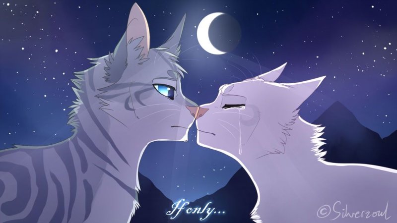 Коты Воители половинка Луны