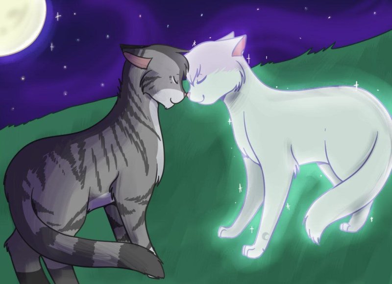 Коты Воители половинка Луны