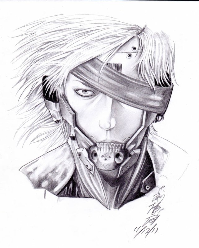 Raiden Metal Gear Rising