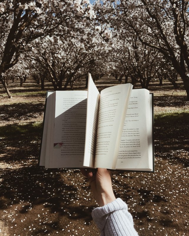 Фотосессия с книгами