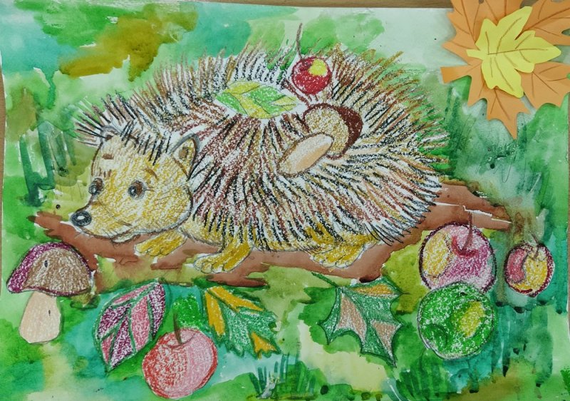 Ежик осенью рисунок