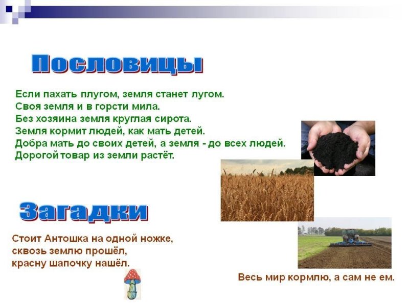 Своя земля и в горсти Мила