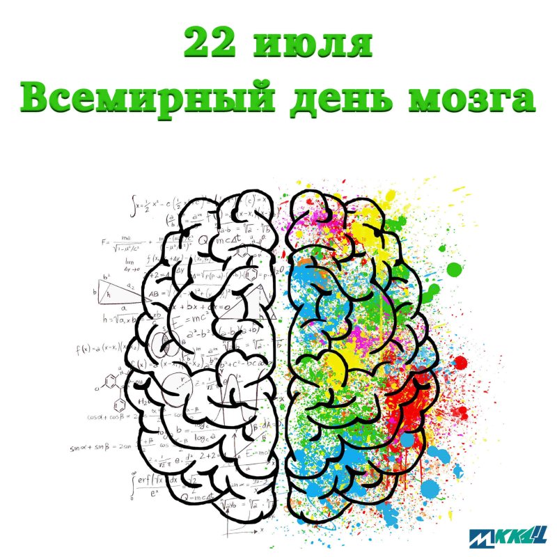 Два полушария мозга