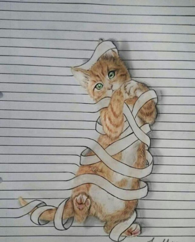 Кот на руках рисунок карандашом