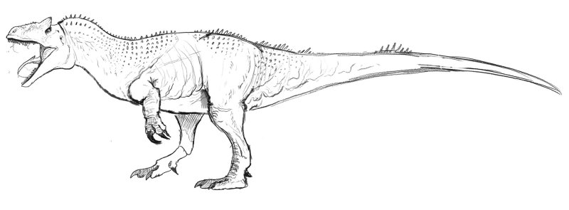 Карнотавр скелет