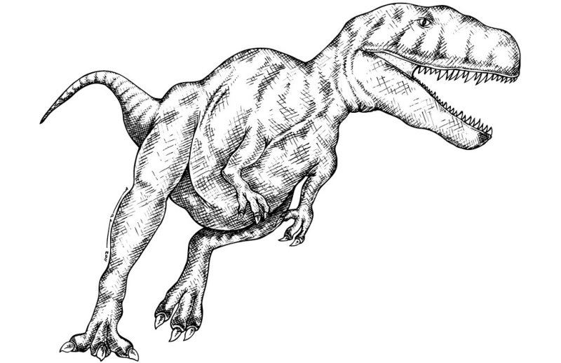 Тираннозавр и Мегалозавр