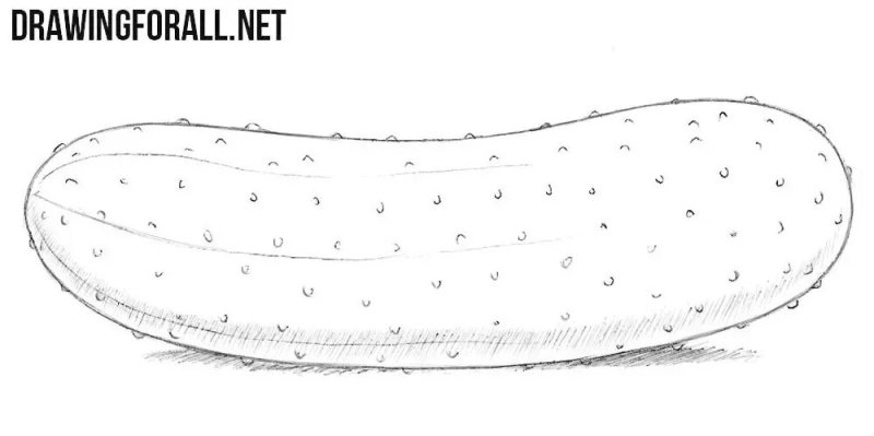 Огурец рисунок карандашом