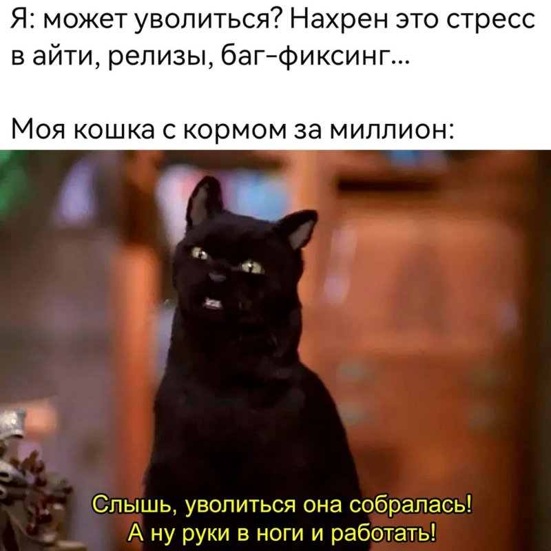 Сабрина маленькая ведьма кот Салем