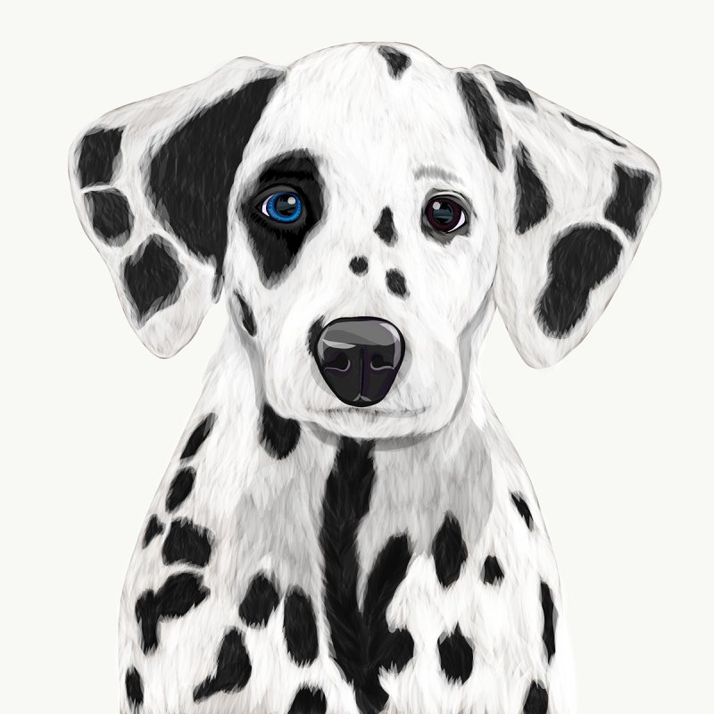 Морда далматинца рисунок