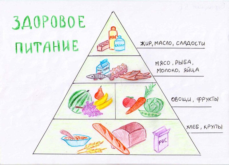 Пирамида питания для дошкольников