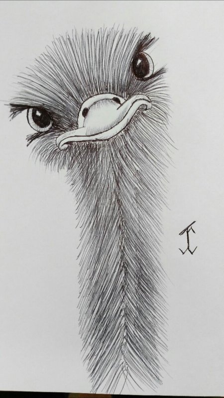 Необычные рисунки карандашом