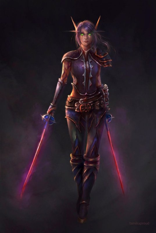 World of Warcraft разбойница эльфийка
