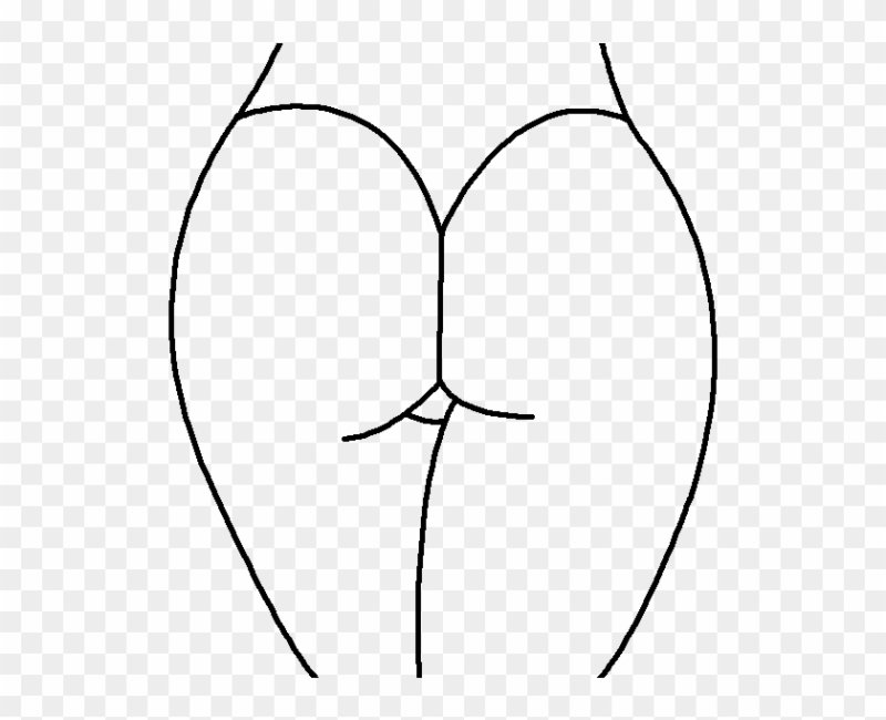 Ягодицы схематично