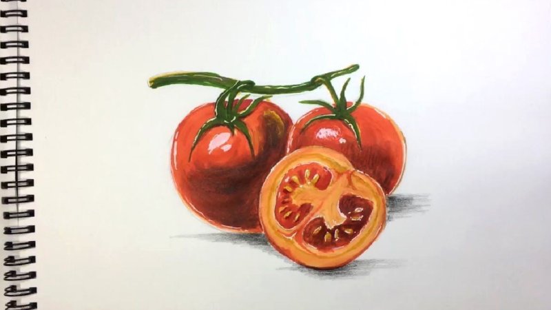 Помидор рисунок карандашом