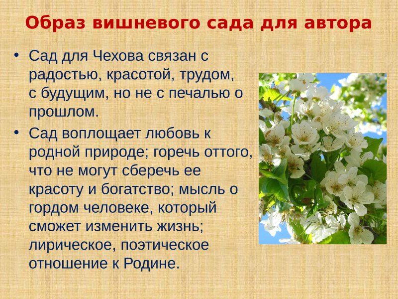 Вишневый сад презентация