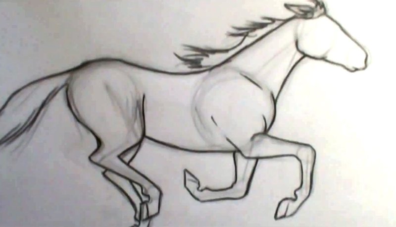 Лошадь рисунок