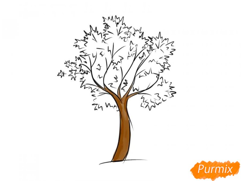 легкий рисунок дерева