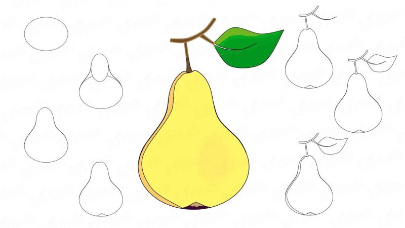 Поэтапное рисование груши