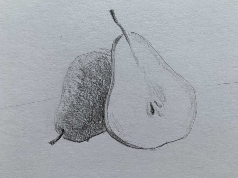 Груша рисунок карандашом