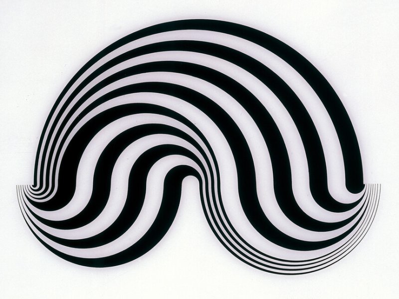 Иллюзия Райли (Bridget Riley)