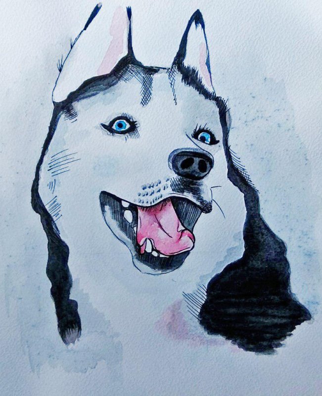 Рисунок собаки для срисовки