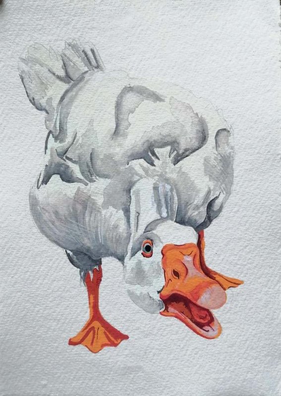 Гусь рисунок