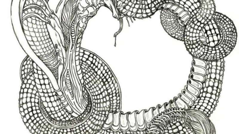 тату эскиз змеи