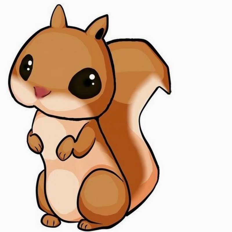 Белка рисунок для срисовки