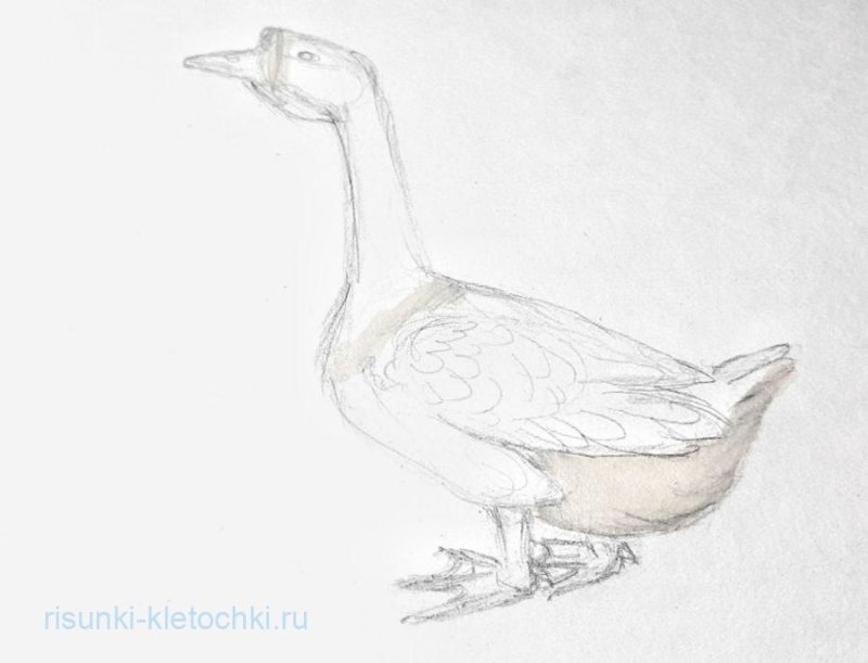 Рисование гуся