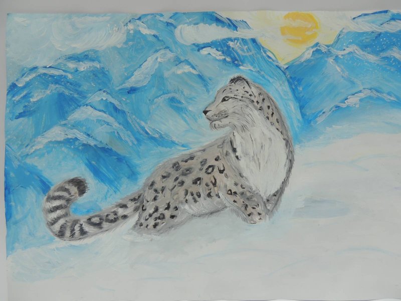 рисунки снежного барса