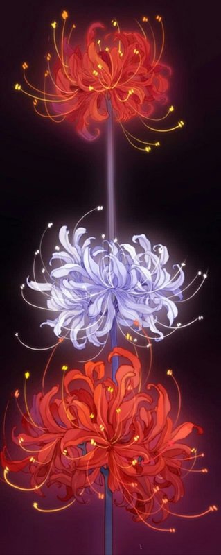 Хиганбана ликорис аниме