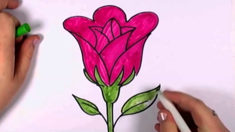 Цветы рисунки легкие