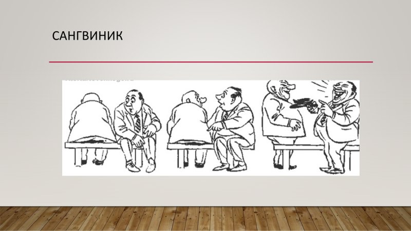 Темперамент сангвиник