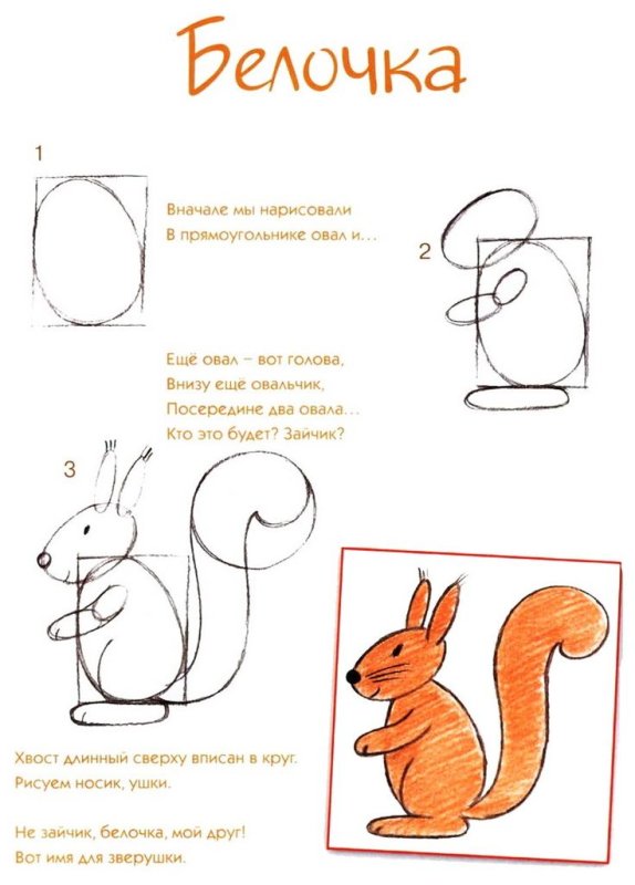 Поэтапное рисование белочки