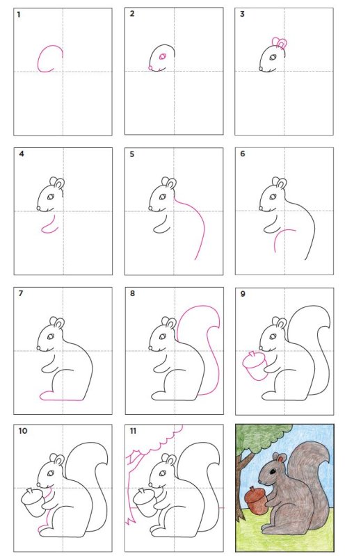 Поэтапное рисование белки