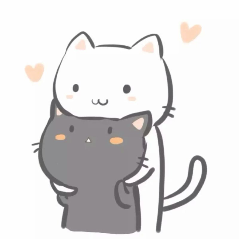 Рисунки котиков