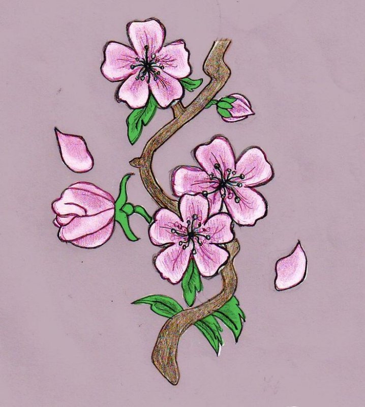 Рисунки для срисовки цветы
