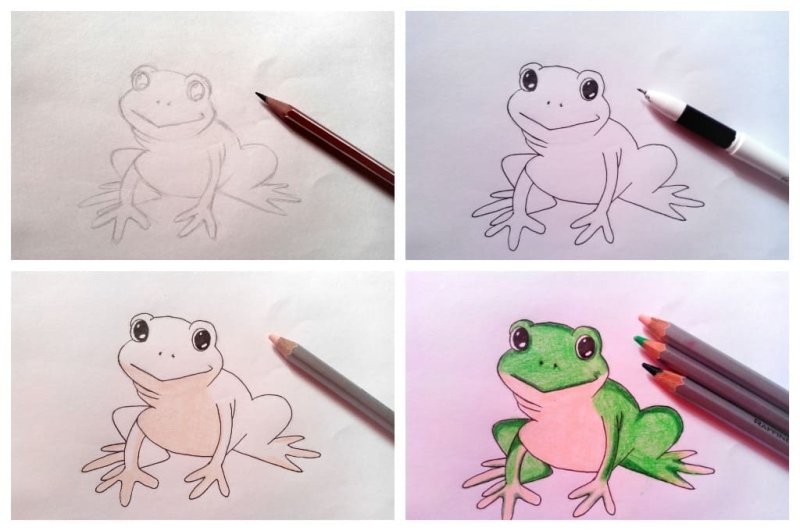 Рисунок лягушки для срисовки