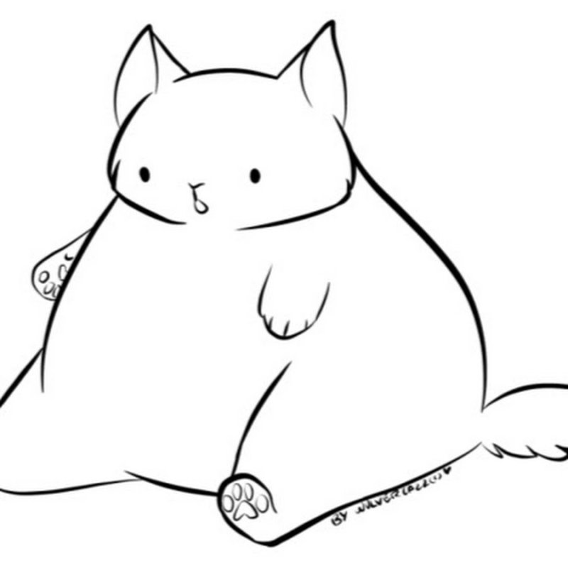 Нарисовать пухлого кота