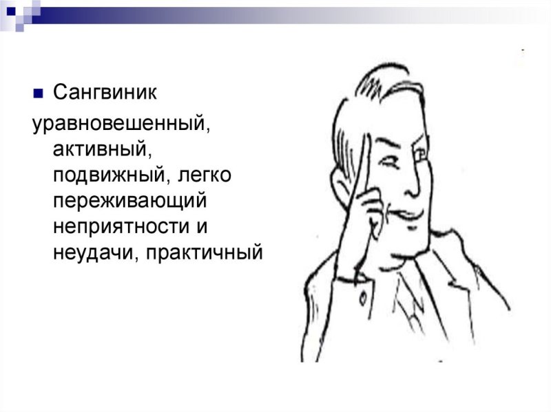 темперамент сангвиник