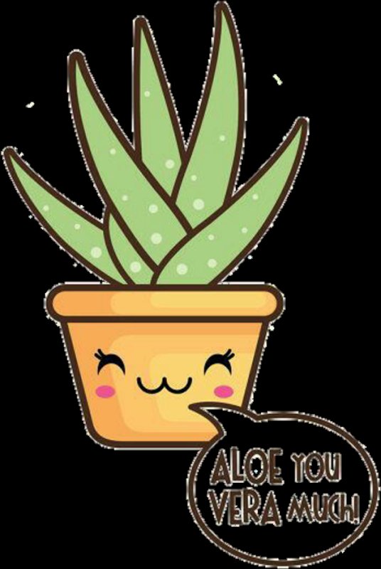 Алоэ рисунок