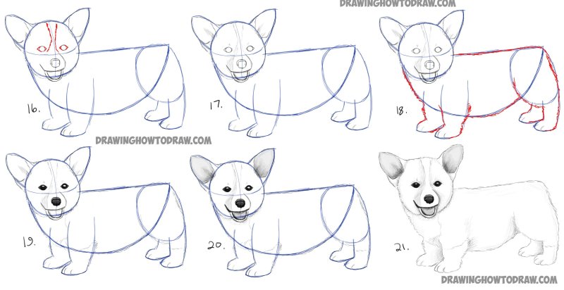 Поэтапные рисунки для срисовки