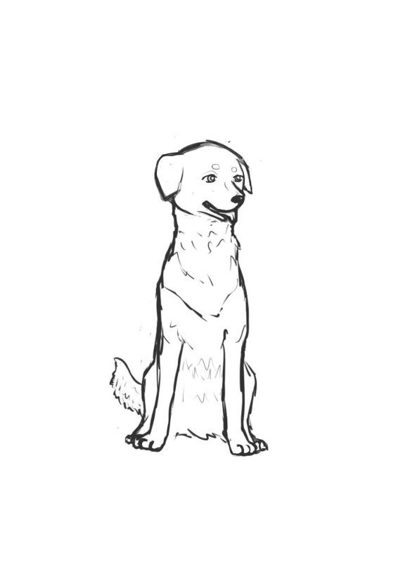 Собака сидит рисунок