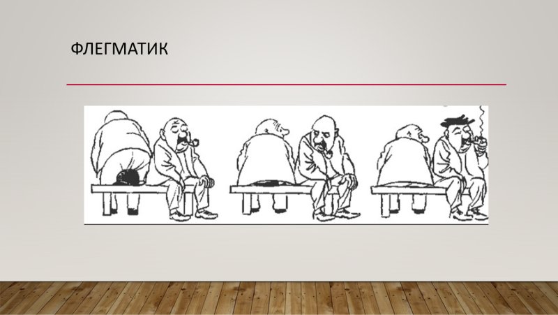 Темперамент флегматик