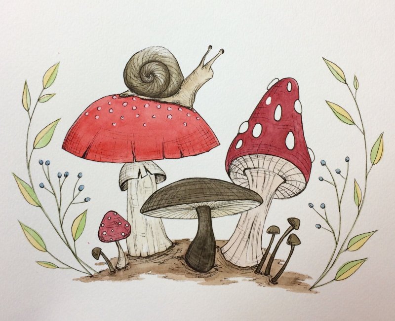 Красивые рисунки грибов