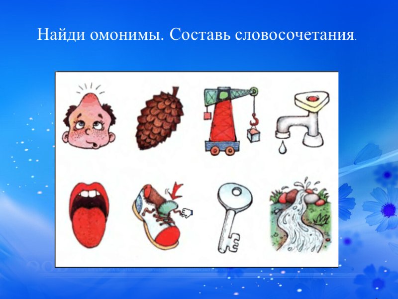 Омонимы задания