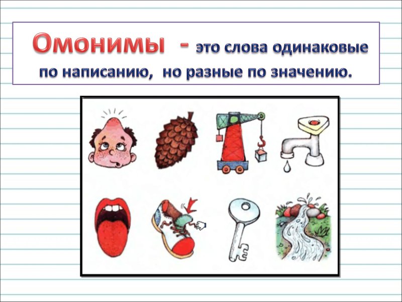 Омонимы