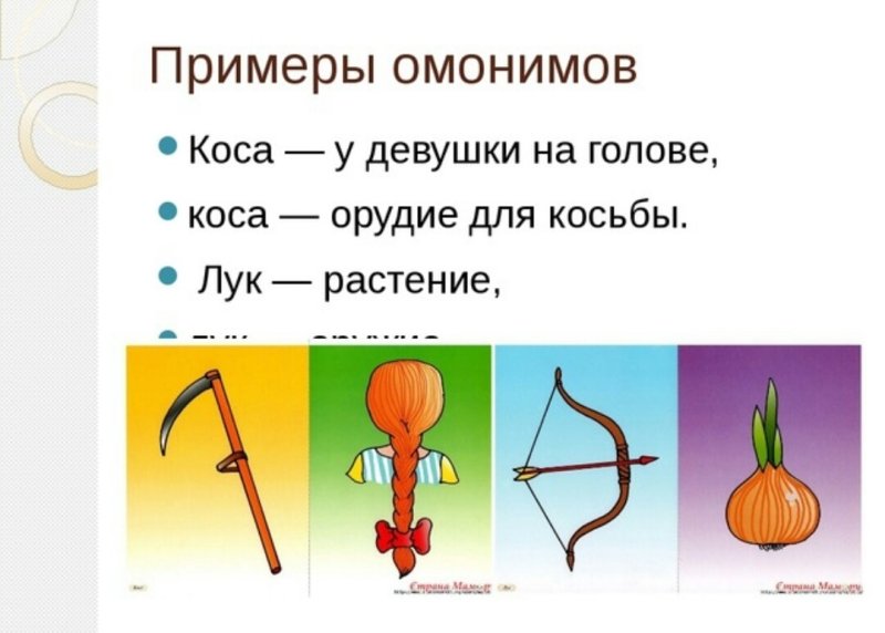 Омонимы примеры