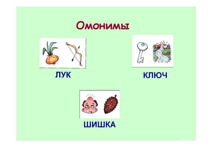 Омонимы примеры